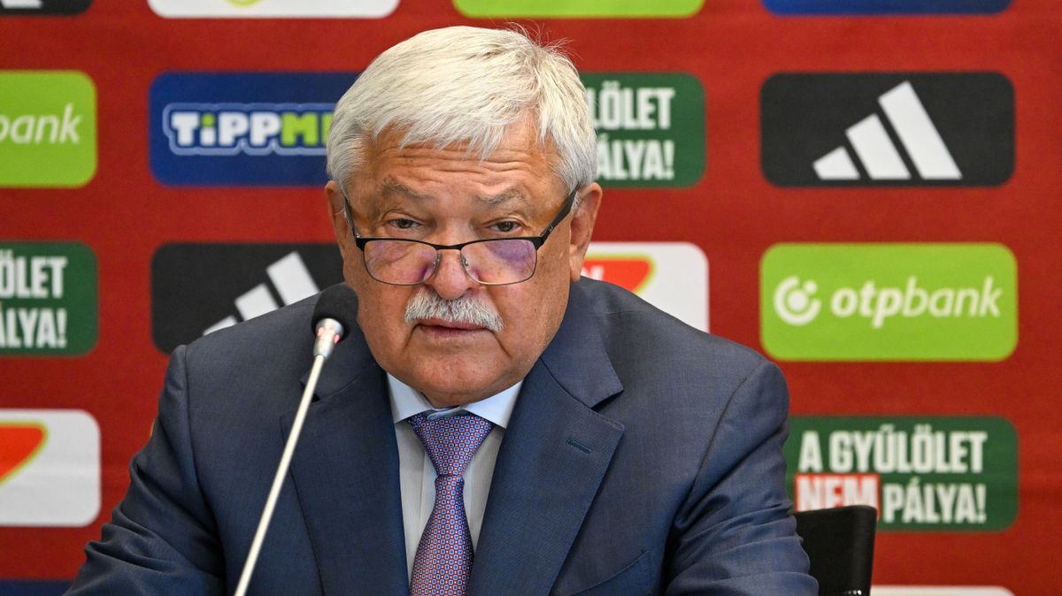 Csányi Sándor, a Magyar Labdarúgó-szövetség (MLSZ) elnöke szerint a magyarszabály korábbi bevezetése továbbjutást érhetett volna a vb-selejtezőn