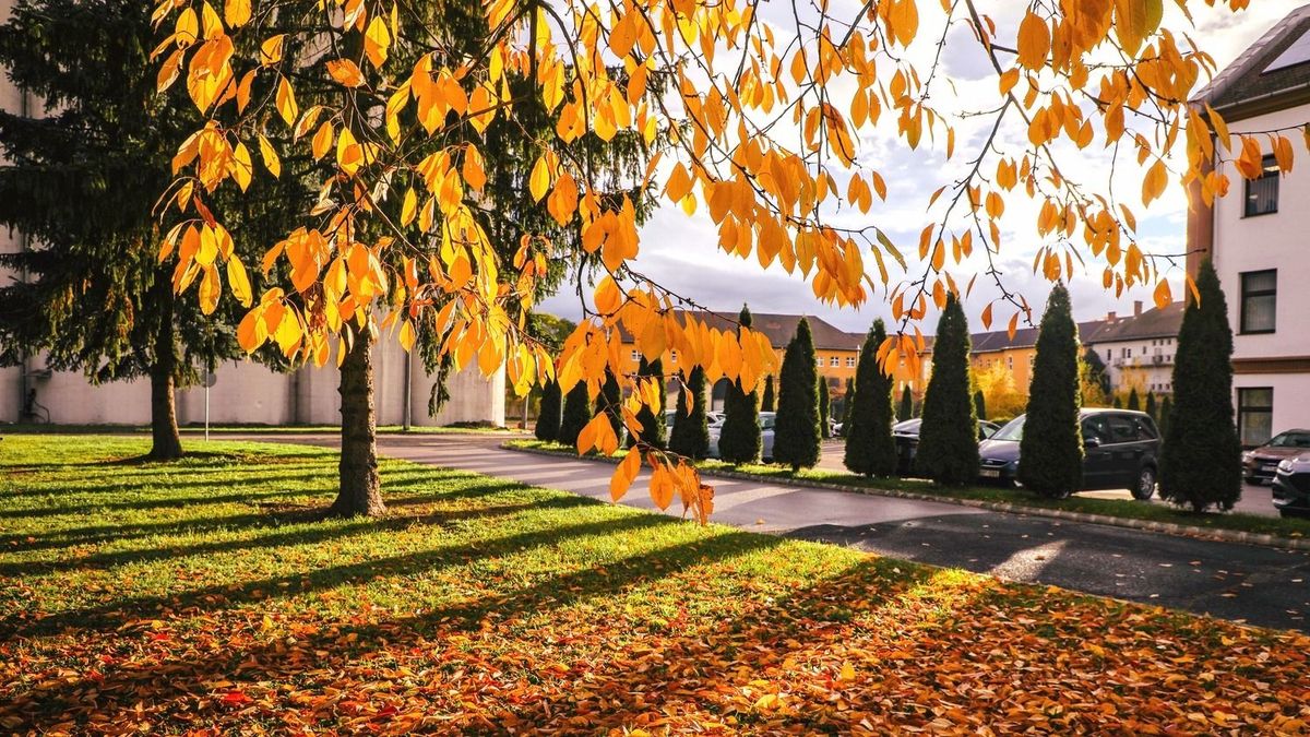 Tökéletes őszi nap: napsütés és enyhe szellő