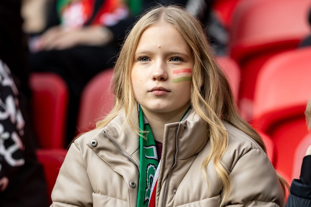 Magyarország - Írország 
magyar válogatott mérkőzés