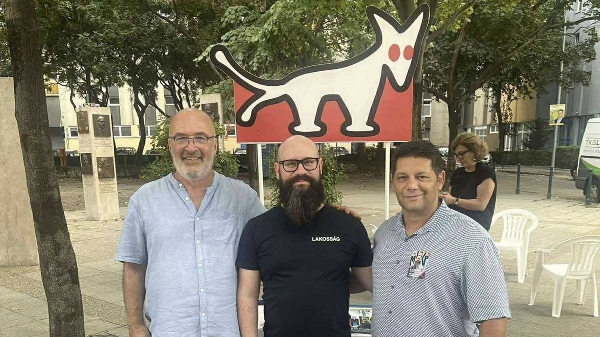 Elismerte a zaklatást a momentumos képviselő, de nem hajlandó lemondani