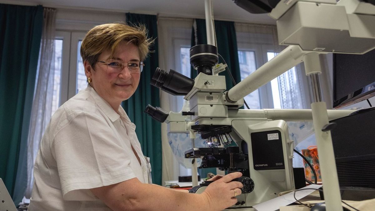 illegális esztétikai beavatkozás