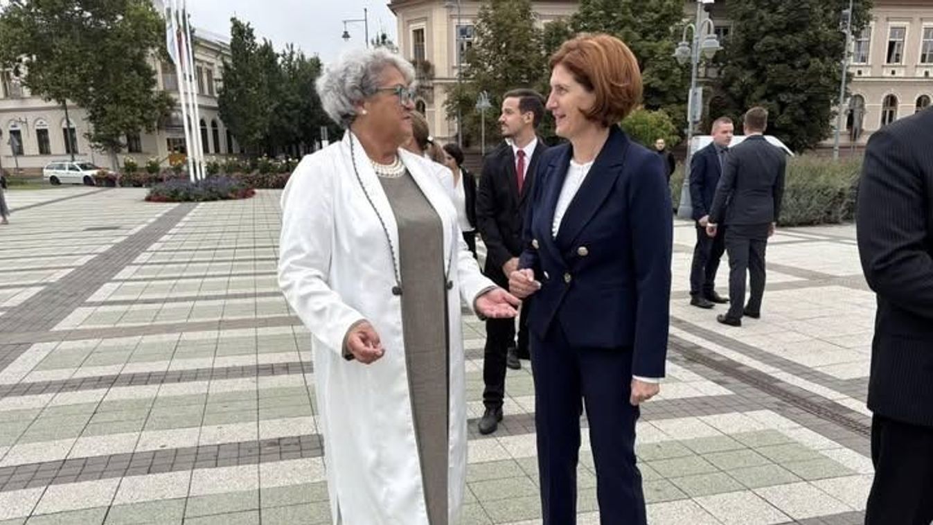 Gyurcsány polgármestere, baloldal, Tisza Párt