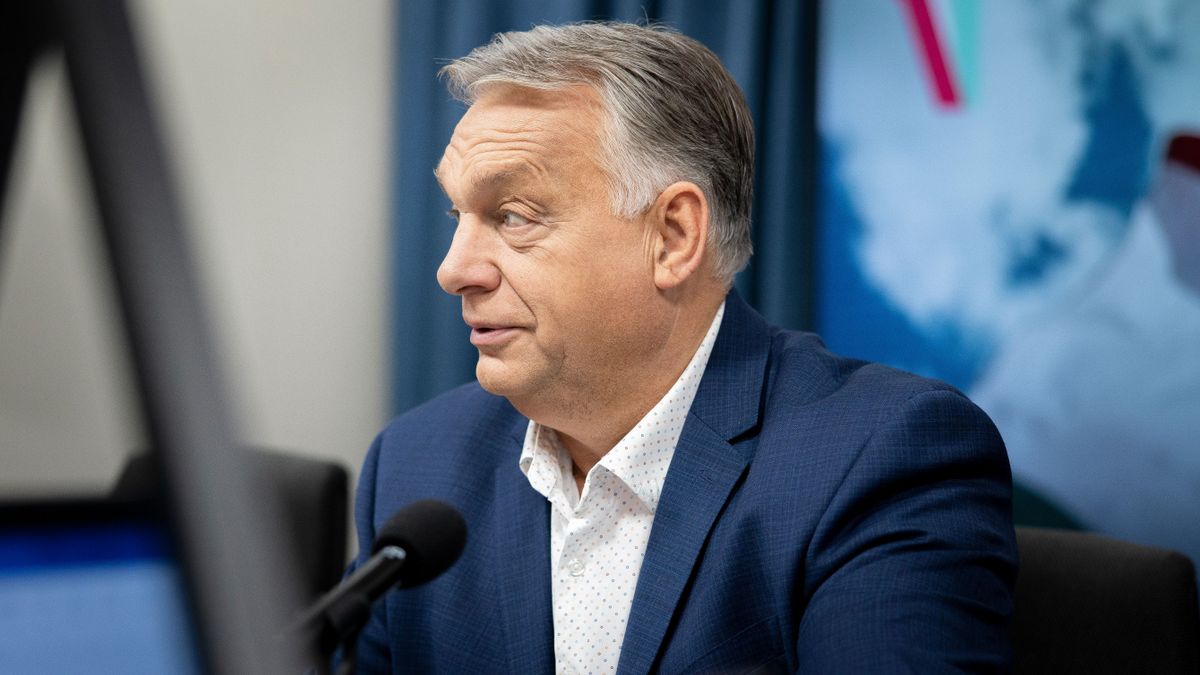 Orbán Viktor: Csípősen, mustárral + videó