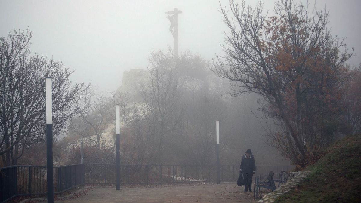 Túltolták a bulit, a belvárosban tombolt a fiatalokból álló pécsi erőszakos banda
