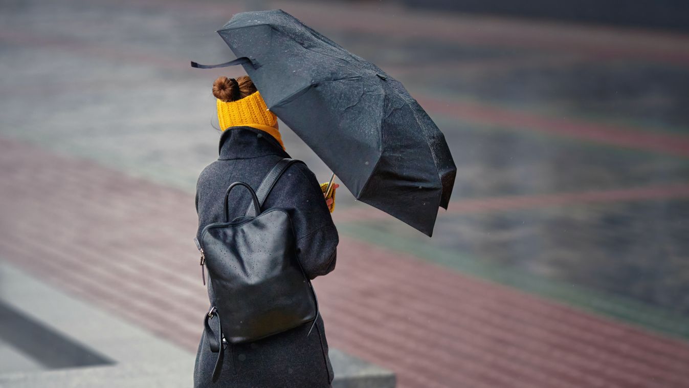 Woman struggles against strong wind and rain, gripping an umbrella as it bends under force of storm while walking down wet city street. Woman fighting against the rain and wind, gusts on stormy day
2598508595
