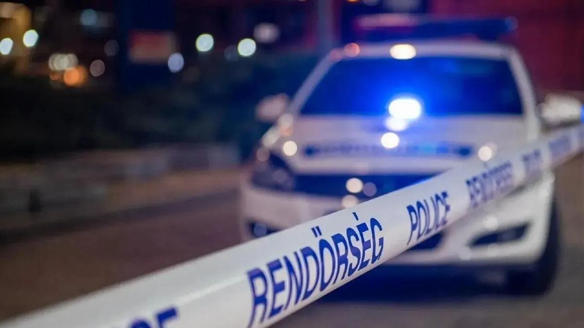 Megtalálták a kislányt, aki a kutyájával tűnt el Bárról