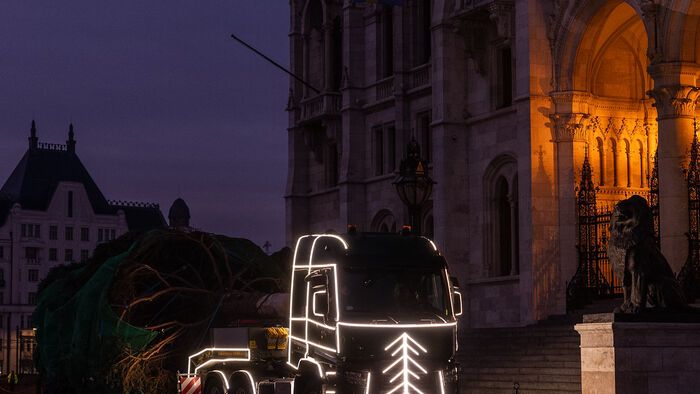 Budapest, 2025. november 24. Az ország karácsonyfája megérkezik az Országház előtti Kossuth térre 2025. november 24-én. A 31 felajánlás közül az Országgyűlés Hivatala az ibrányi, hozzávetőleg 23 méter magas 40 esztendős ezüstfenyőt talált a legszebbnek. 