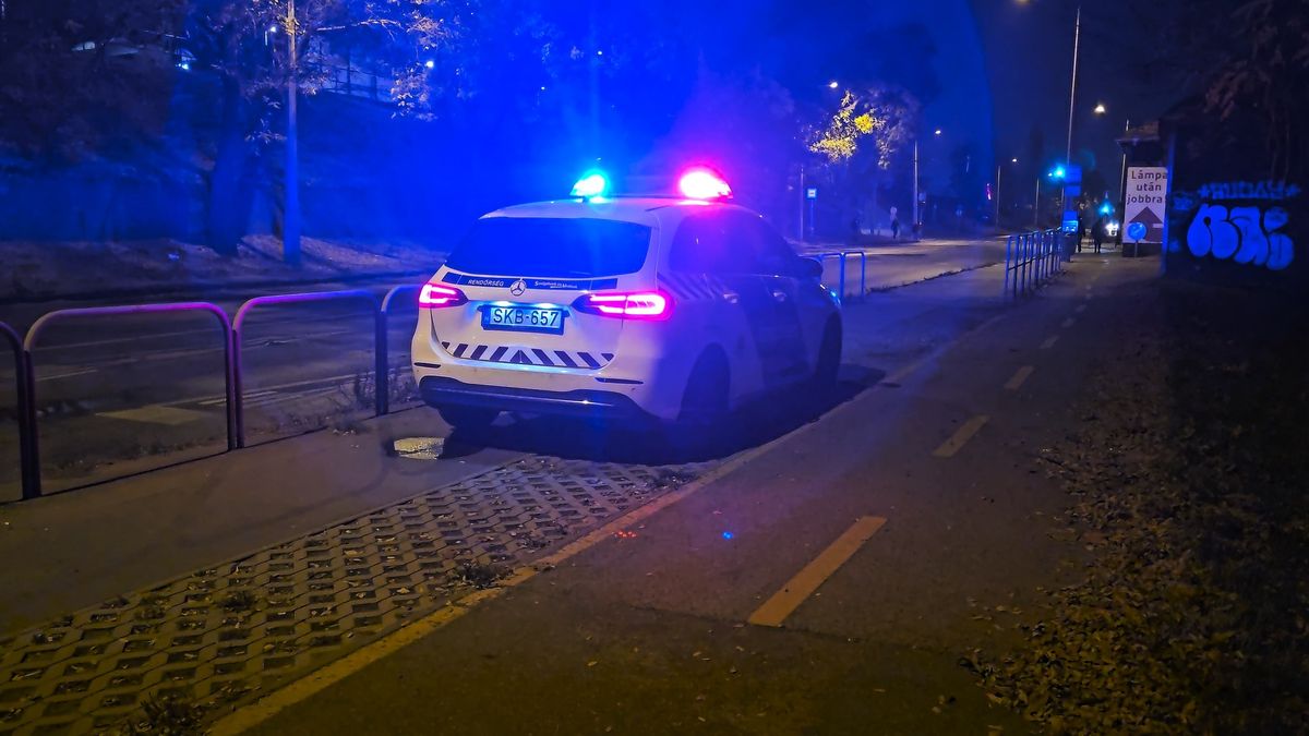 Rejtélyes holttestre bukkantak Csepel erdős területén