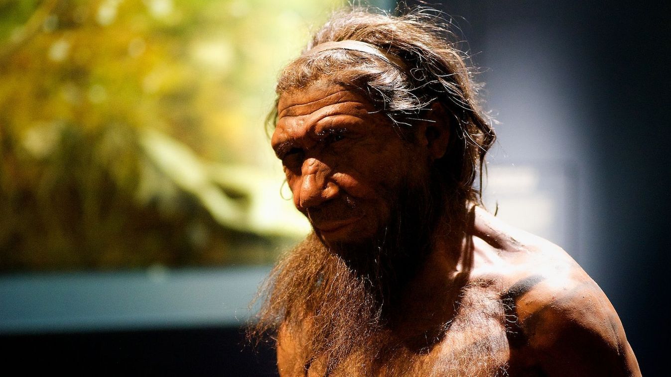 A neandervölgyi ember rekonstrukciója