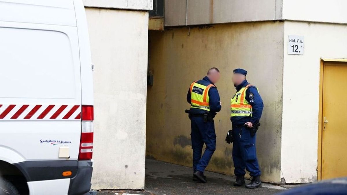 Videón mutatjuk a fiatalembert, akit őrizetbe vettek a rendőrök a fiatal szolnoki lány meggyilkolása miatt