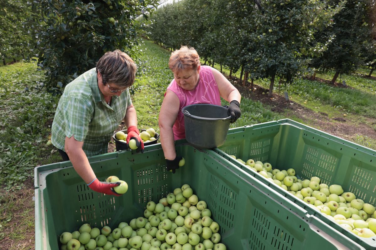 Jövőre sem maradunk szabadság nélkül. / Fotó: Sipeki Péter