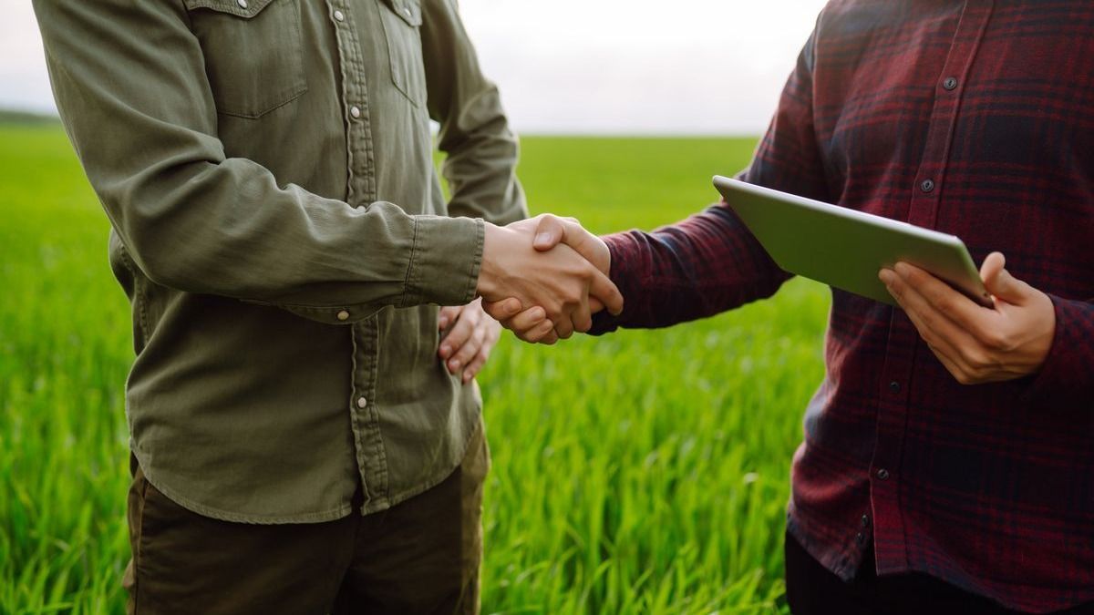 Soha nem látott roham a kormány kkv-kat segítő hiteléért