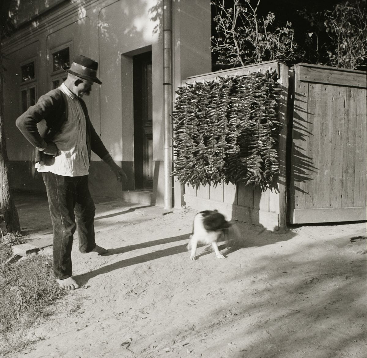 pirospaprika szárad a kapun