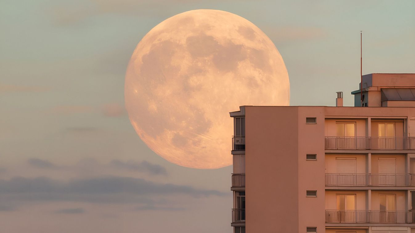 Supermoon rising over city buildings
2684778239
Szuperhold
Shutterstock
Helga Ha