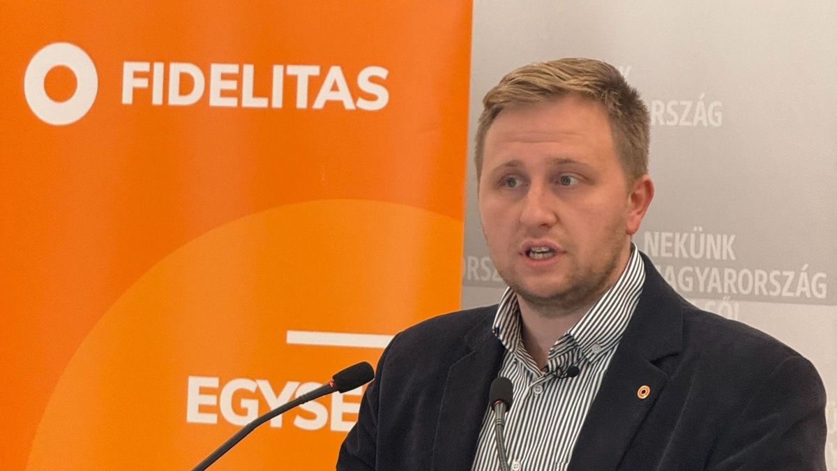 Mohácsy István: Kiállok Gulyás Virág mellett!