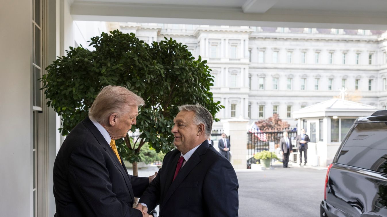 Cikk kép: undefined