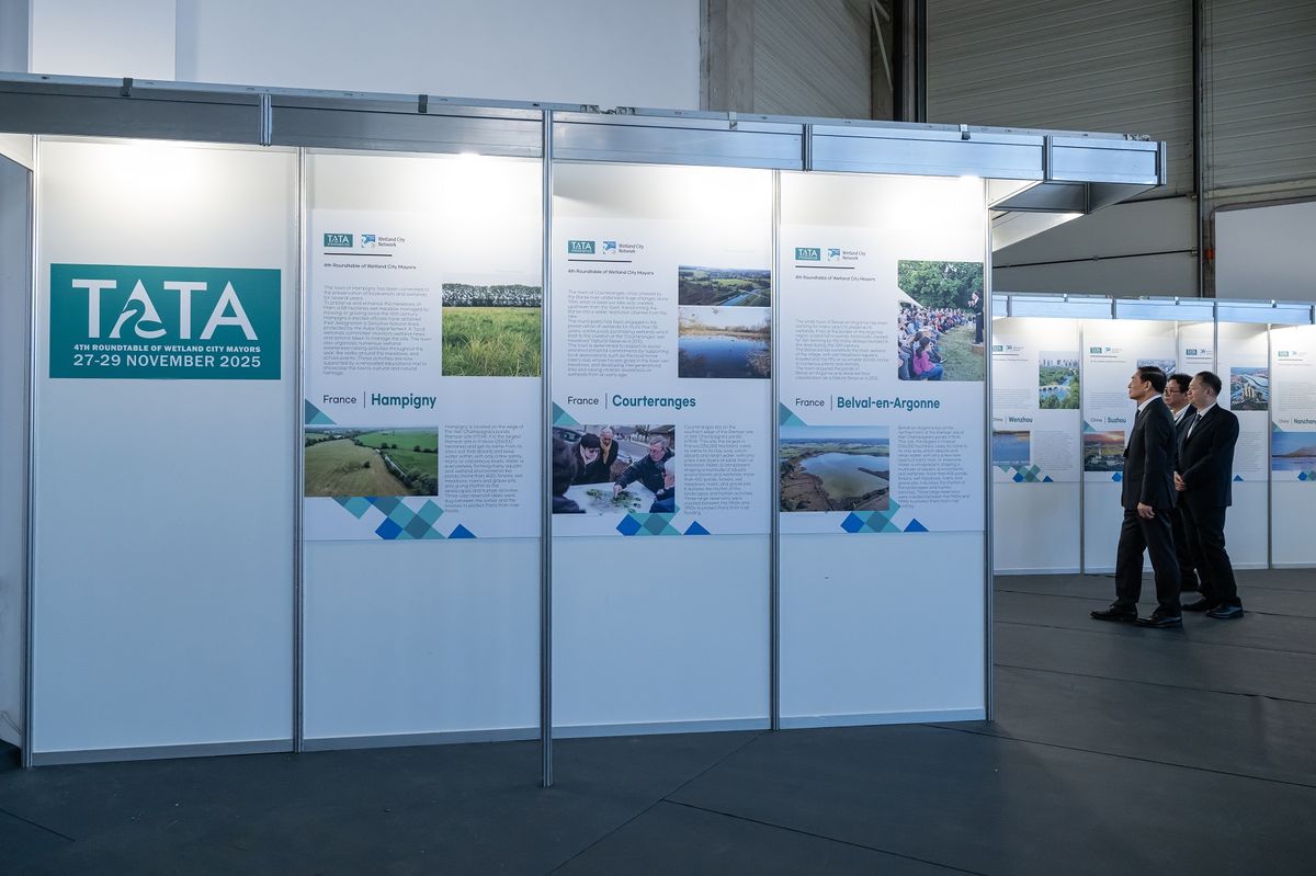 Tata, 2025. november 27.
Tablók a Ramsari Egyezményt aláíró városok polgármesterei negyedik találkozóján Tatán 2025. november 27-én. A vizes élőhelyeket védő Ramsari Egyezmény a modern nemzetközi természetvédelmi egyezmények közül a legrégebbi, 1971-ben írták alá az iráni Ramsar városában, Magyarország 1979-ben csatlakozott az egyezményhez.
MTI/Vasvári Tamás