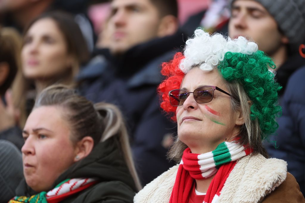 Magyarország - Írország 
magyar válogatott mérkőzés