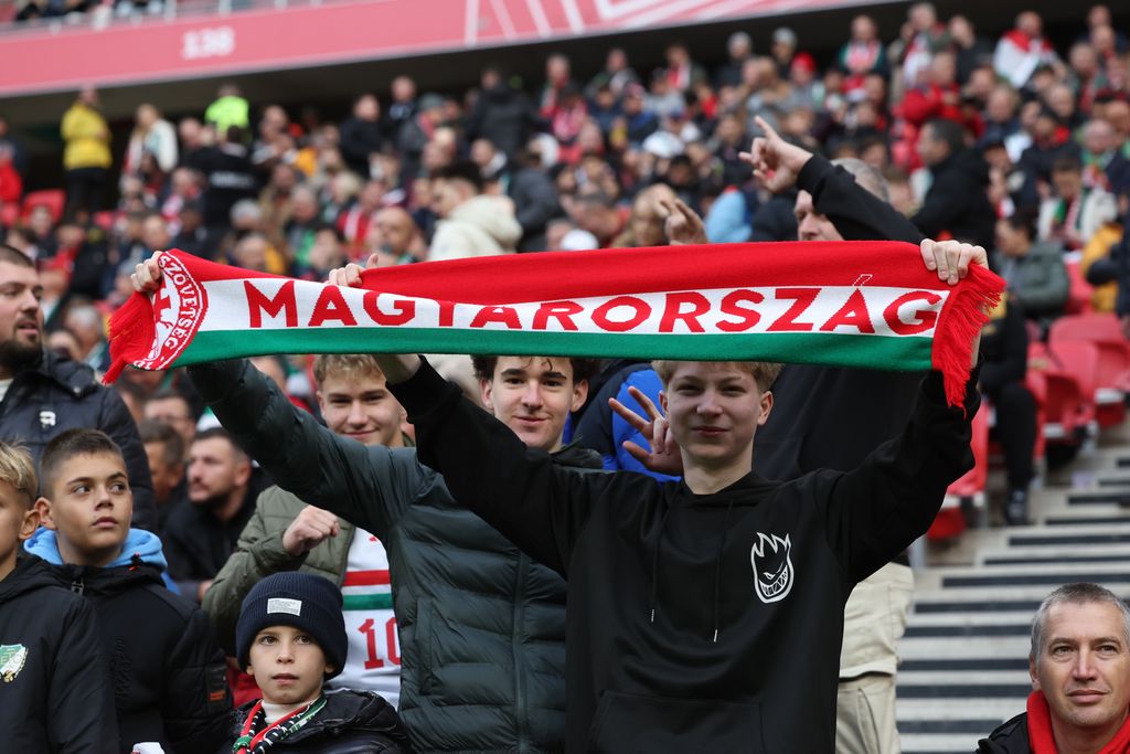 Magyarország - Írország 
magyar válogatott mérkőzés