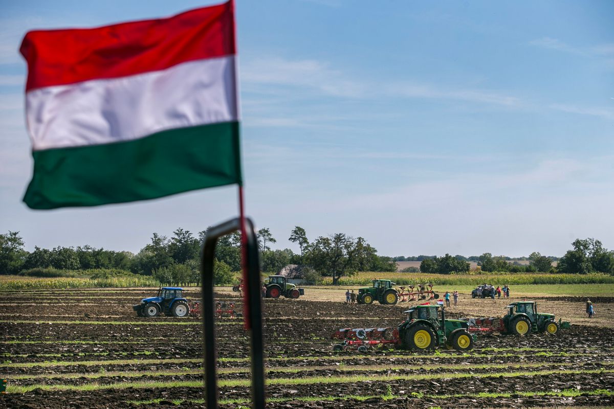 20140830 Sárbogárd SárszentmiklósV. Sárbogárdi szántóverseny.
( mezőgazdaság termőföld traktor szántás lovas szántás ) szántás szánt magyar zászló