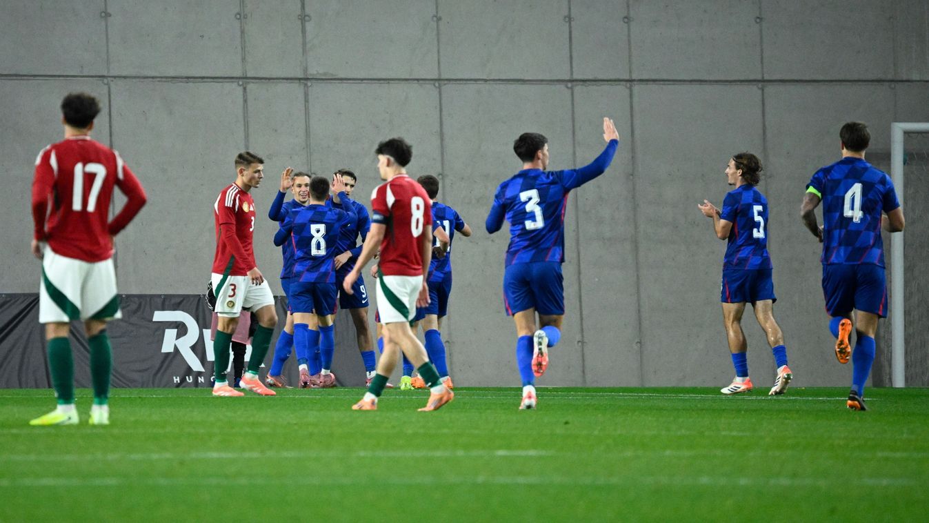 Szélesi Zoltán értékelt a horvátok elleni vereség után.