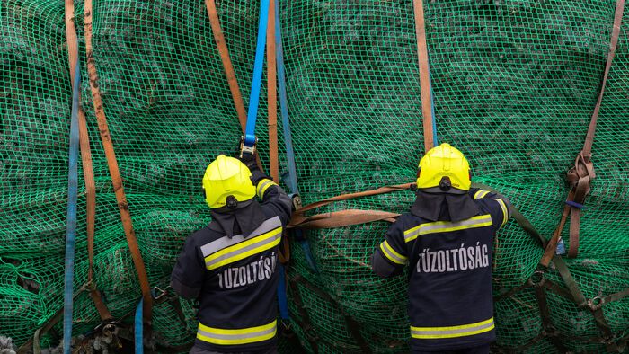 Budapest, 2025. november 24. Az ország karácsonyfája megérkezik az Országház előtti Kossuth térre 2025. november 24-én. A 31 felajánlás közül az Országgyűlés Hivatala az ibrányi, hozzávetőleg 23 méter magas 40 esztendős ezüstfenyőt talált a legszebbnek. 