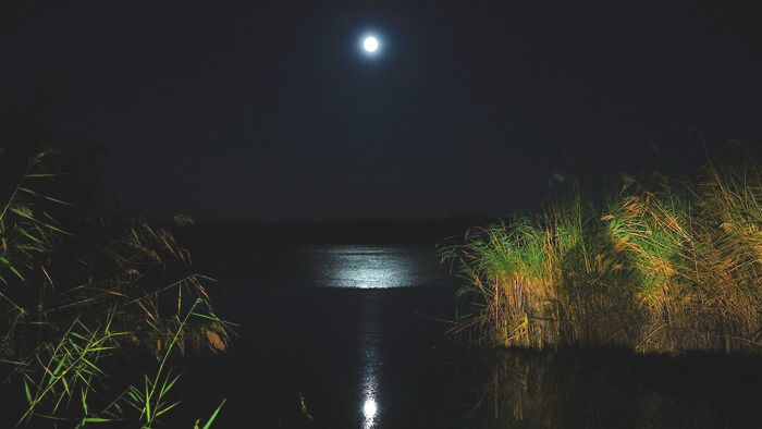 20251005 pest megye delegyhazi tavak vizibivaly naplemente szuper telehold havran zoltan magyar nemzet