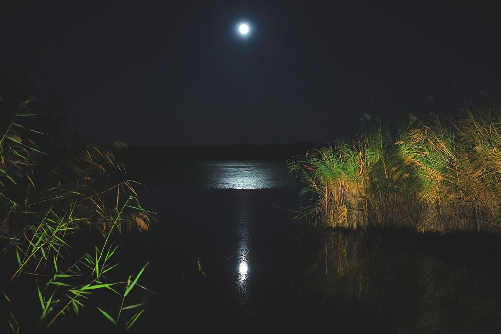 20251005 pest megye delegyhazi tavak vizibivaly naplemente szuper telehold havran zoltan magyar nemzet