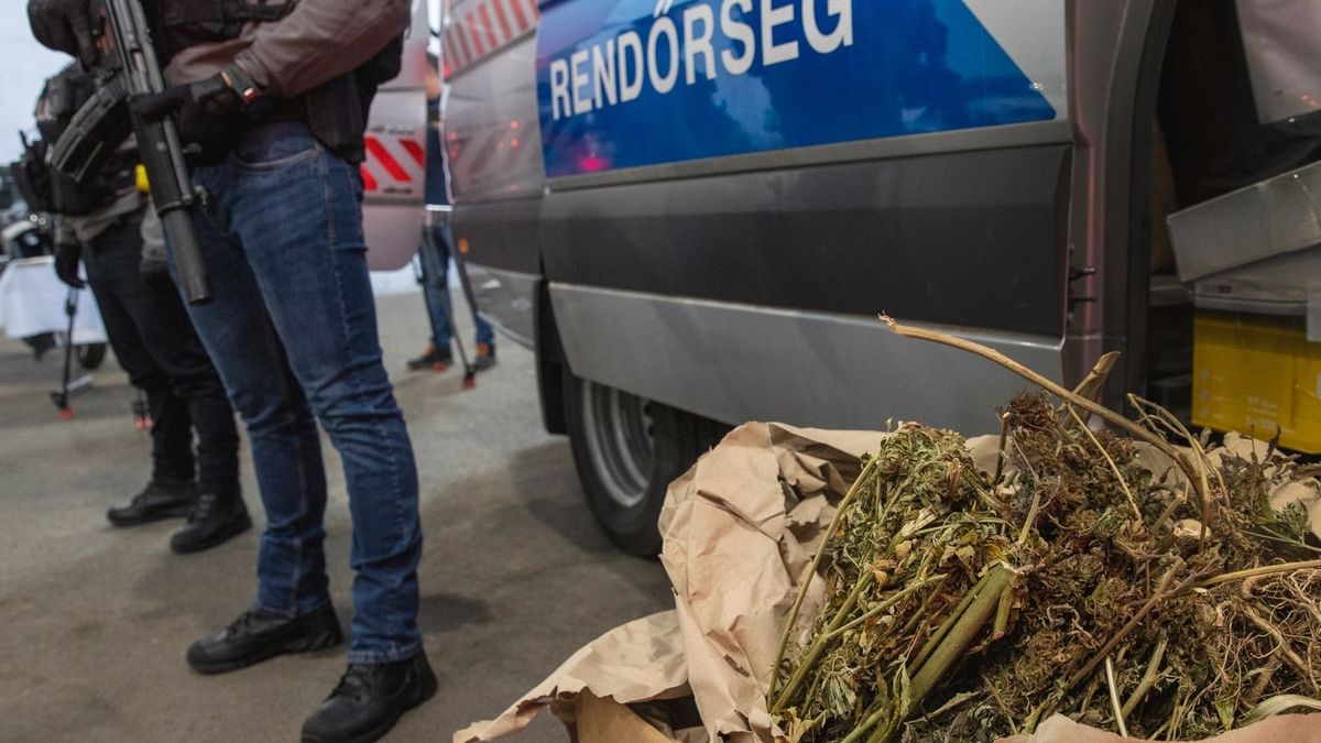 Tíz kábítószer-fogyasztót kapcsoltak le Miskolcon