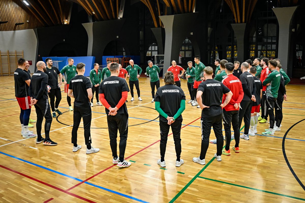 A férfikézilabda-válogatottnál elköszönt egy generáció, a váltás eddig zökkenőmentes volt