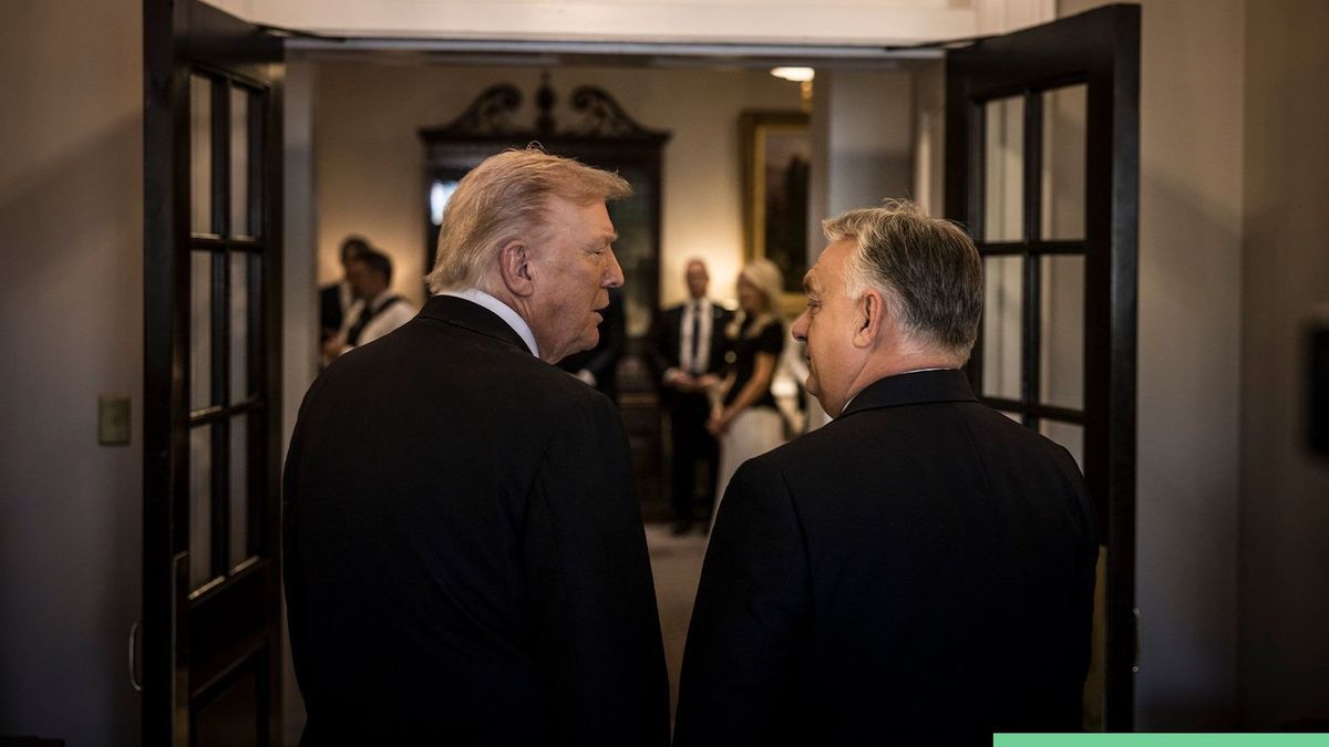 „Trump elnök úr a magyarok jó barátja”