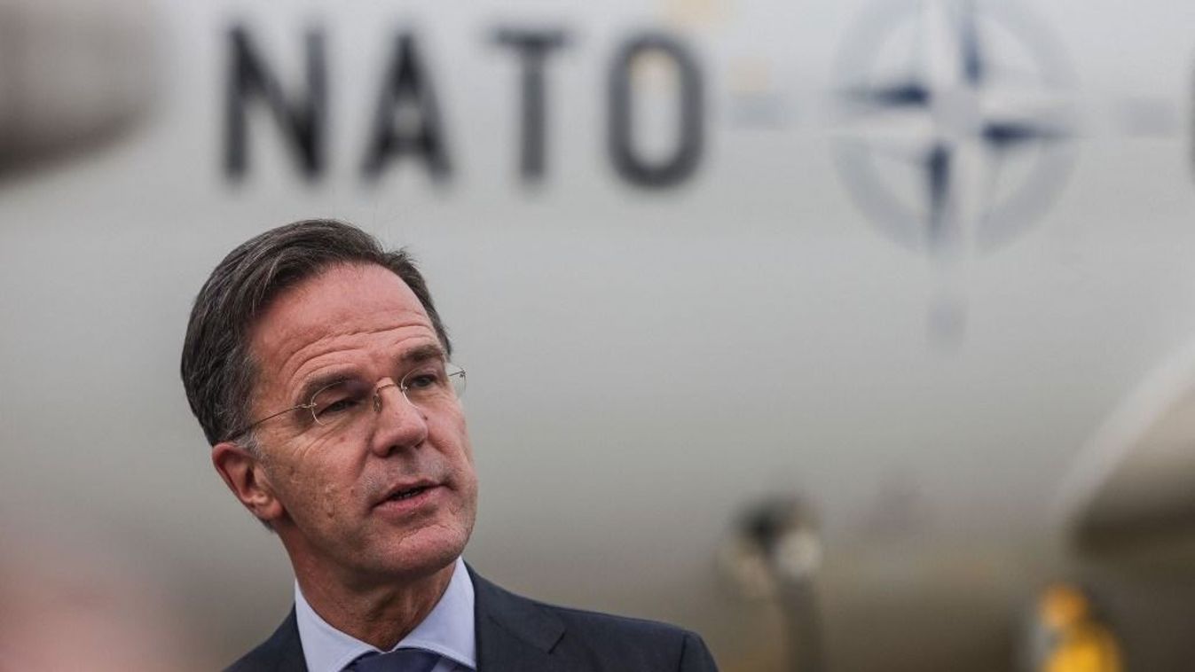 Cikk kép: undefined