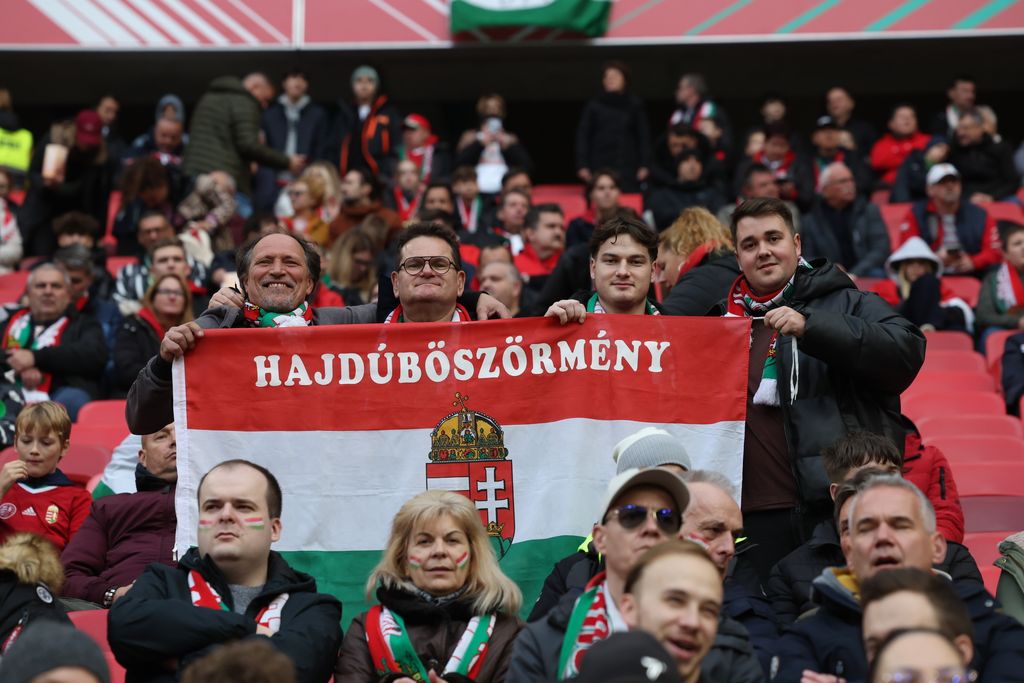 Magyarország - Írország 
magyar válogatott mérkőzés