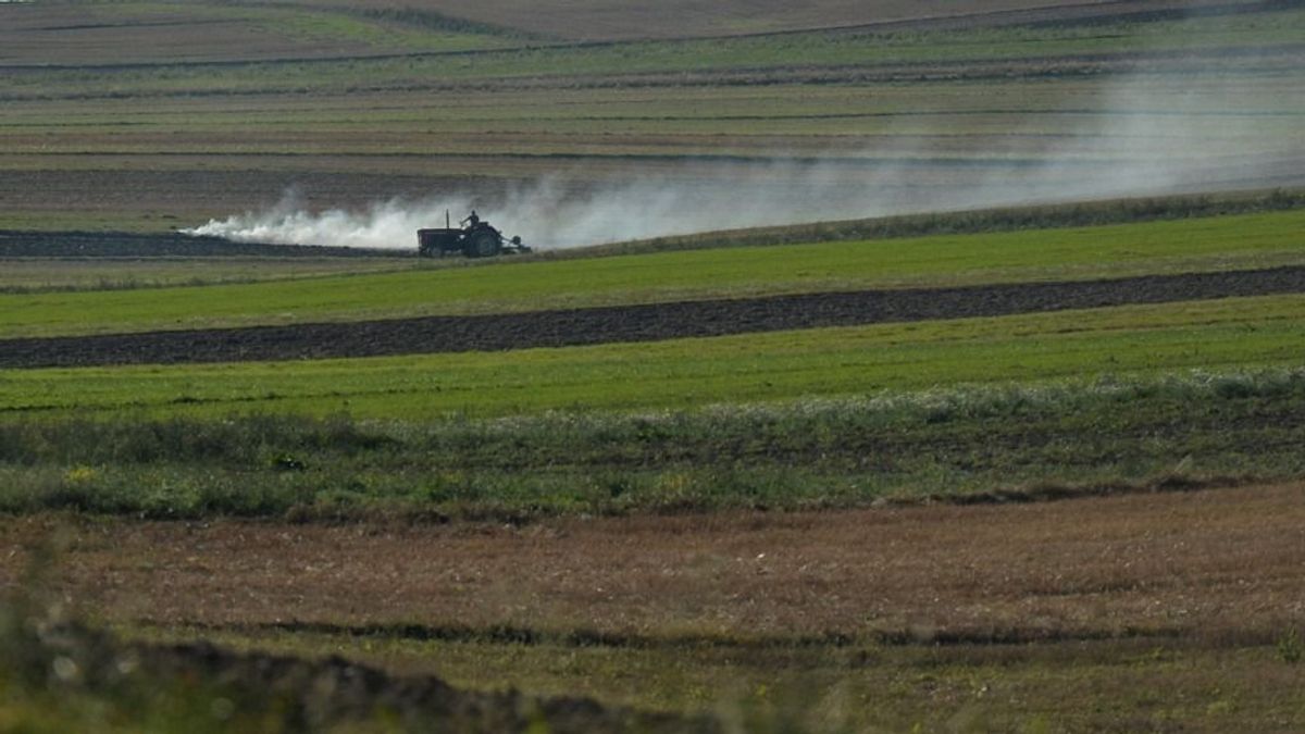 Kevesebb műtrágyát vásároltak idén a gazdák – de nem az emelkedő árak miatt