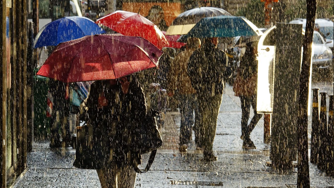Naples, Italy - October 2018: People walking under umbrella during heavy rain

1212257758
Shutterstock