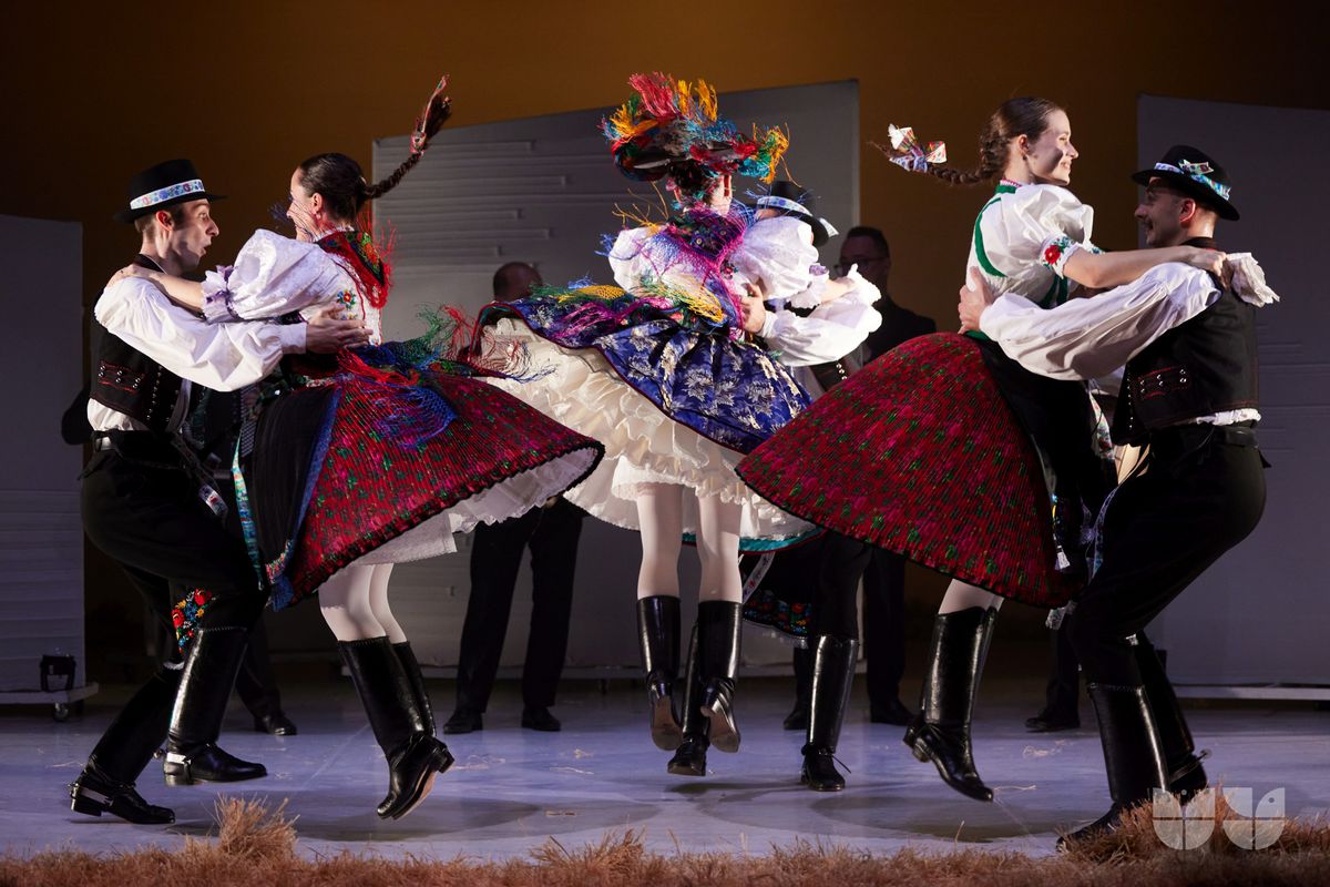 Gyökerek és szárnyak