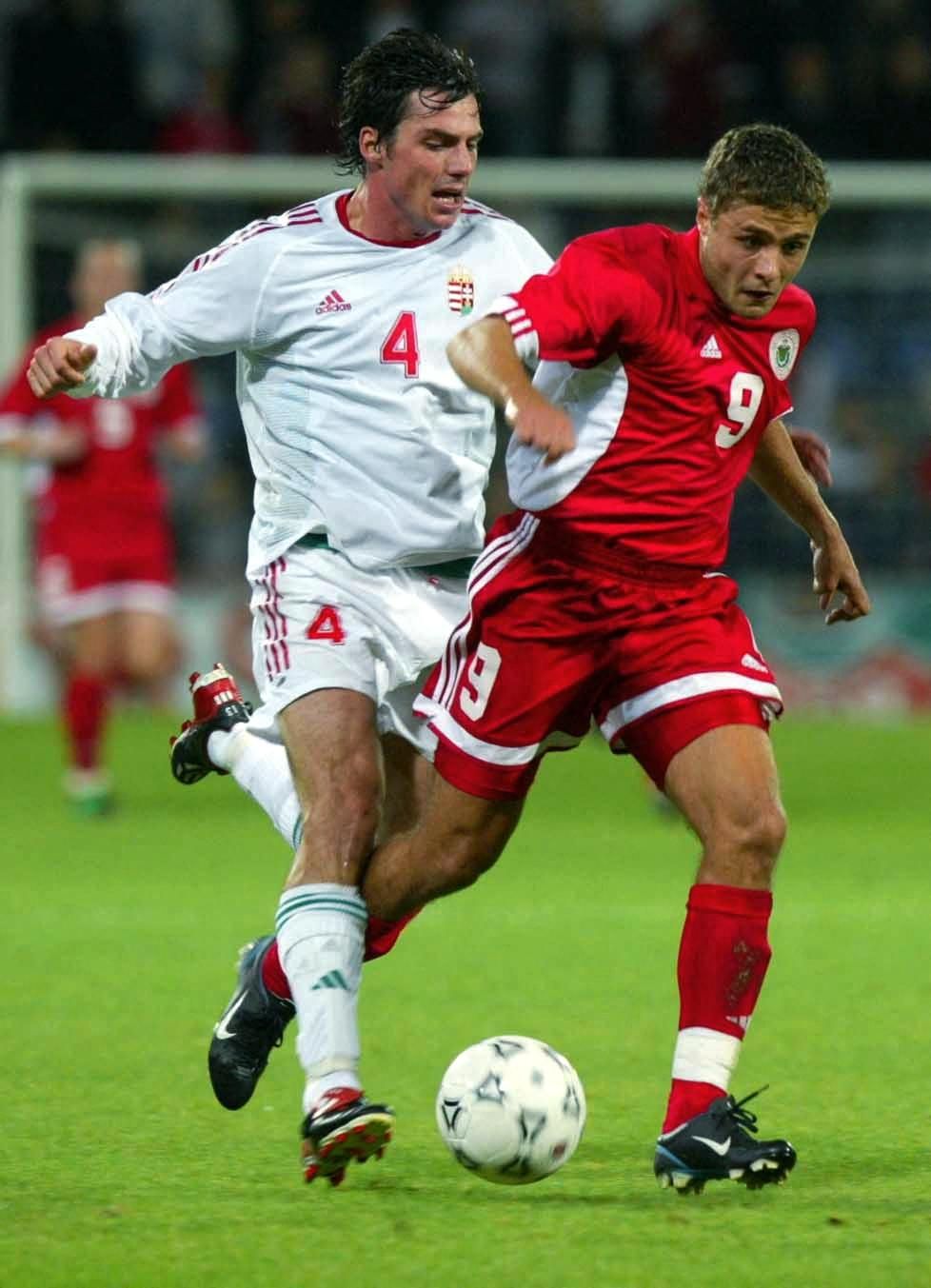 A magyar válogatott védője, Lőw Zsolt sem tudta megállítani Verpakovskist