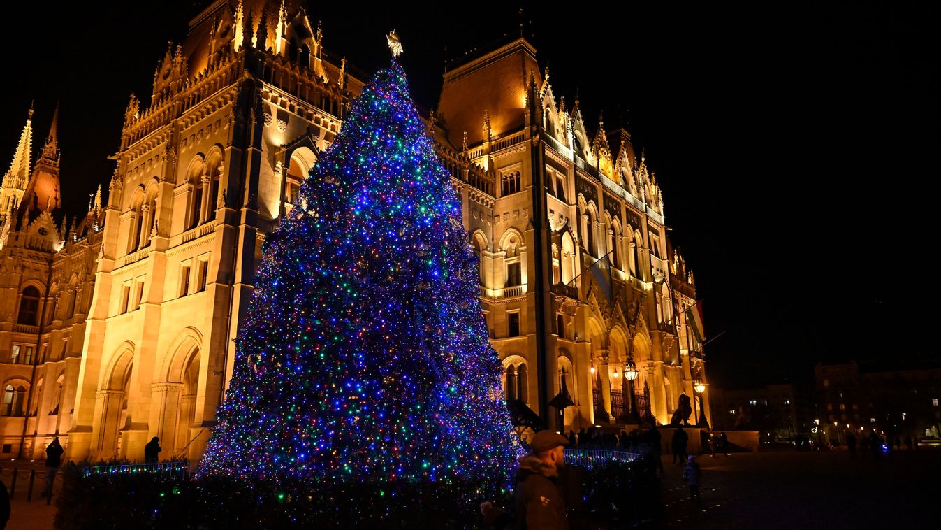 Megvan, ezúttal honnan hozzák az ország karácsonyfáját + videó