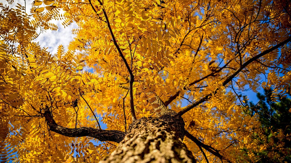 Egy, csak egyetlen hely lesz a hétvégén idehaza, ahol sütni fog a nap