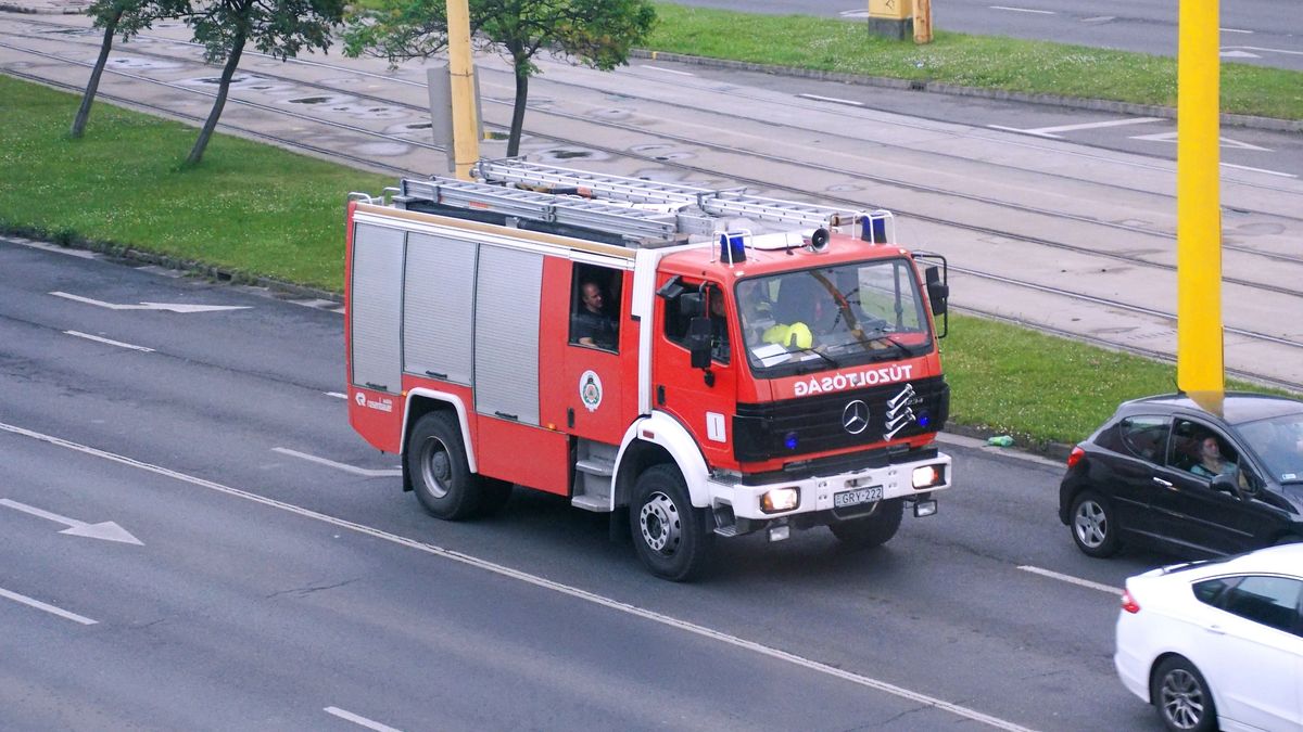 Borzalmas tragédia: fia talált rá az idős asszonyra