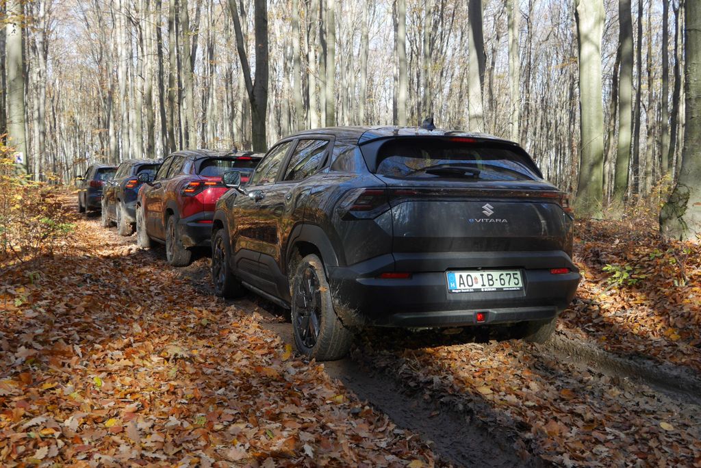 Suzuki eVitara