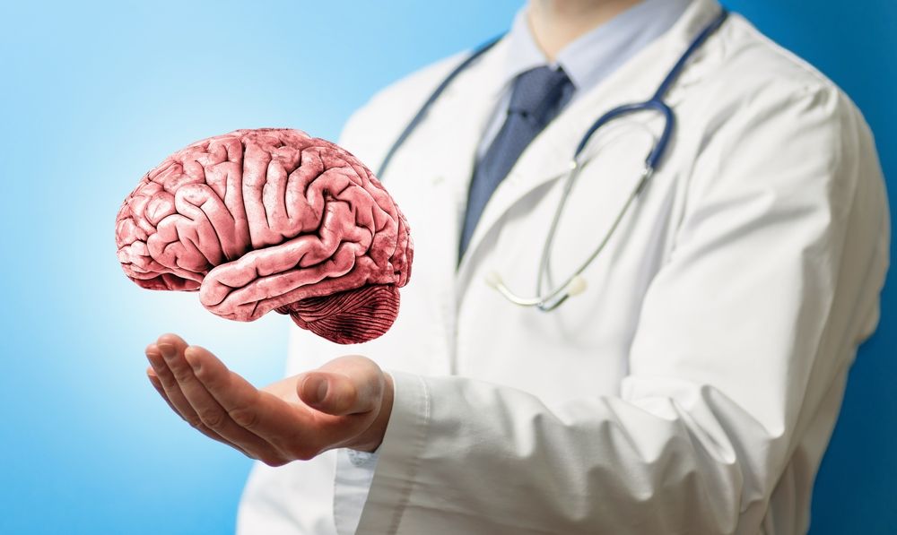 Human brain model over doctor’s hands.