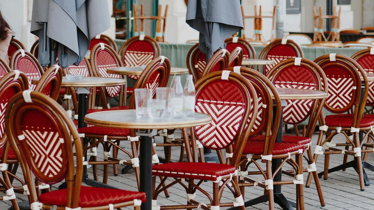 Négy emberre támadt rá a kóbor kutya a Fő téren, aztán hirtelen megszelídült