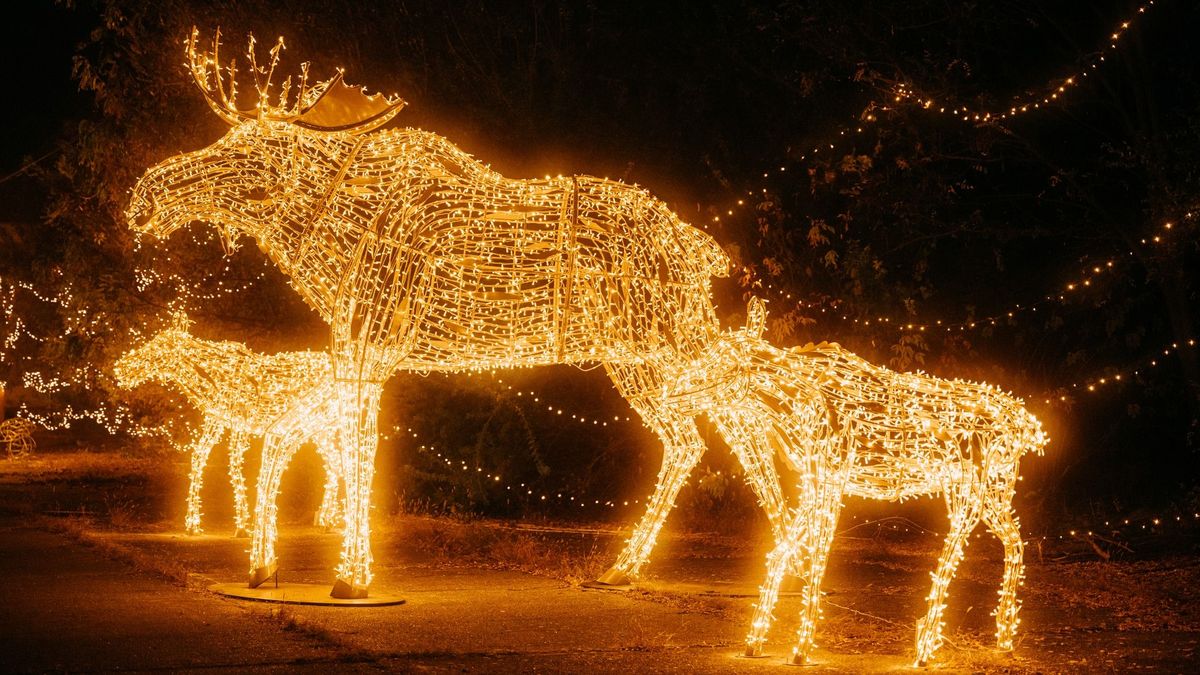 Fényből szőtt történetek – Magyarország legnagyobb fénykiállítás-sorozata