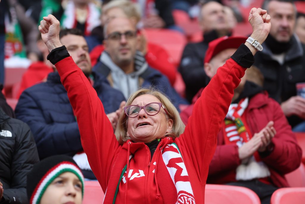 Magyarország - Írország 
magyar válogatott mérkőzés