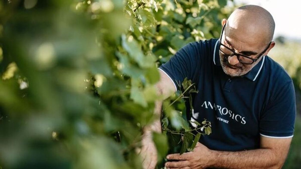 Major Recognition: Balatonoszod Winery Conquers South Korea