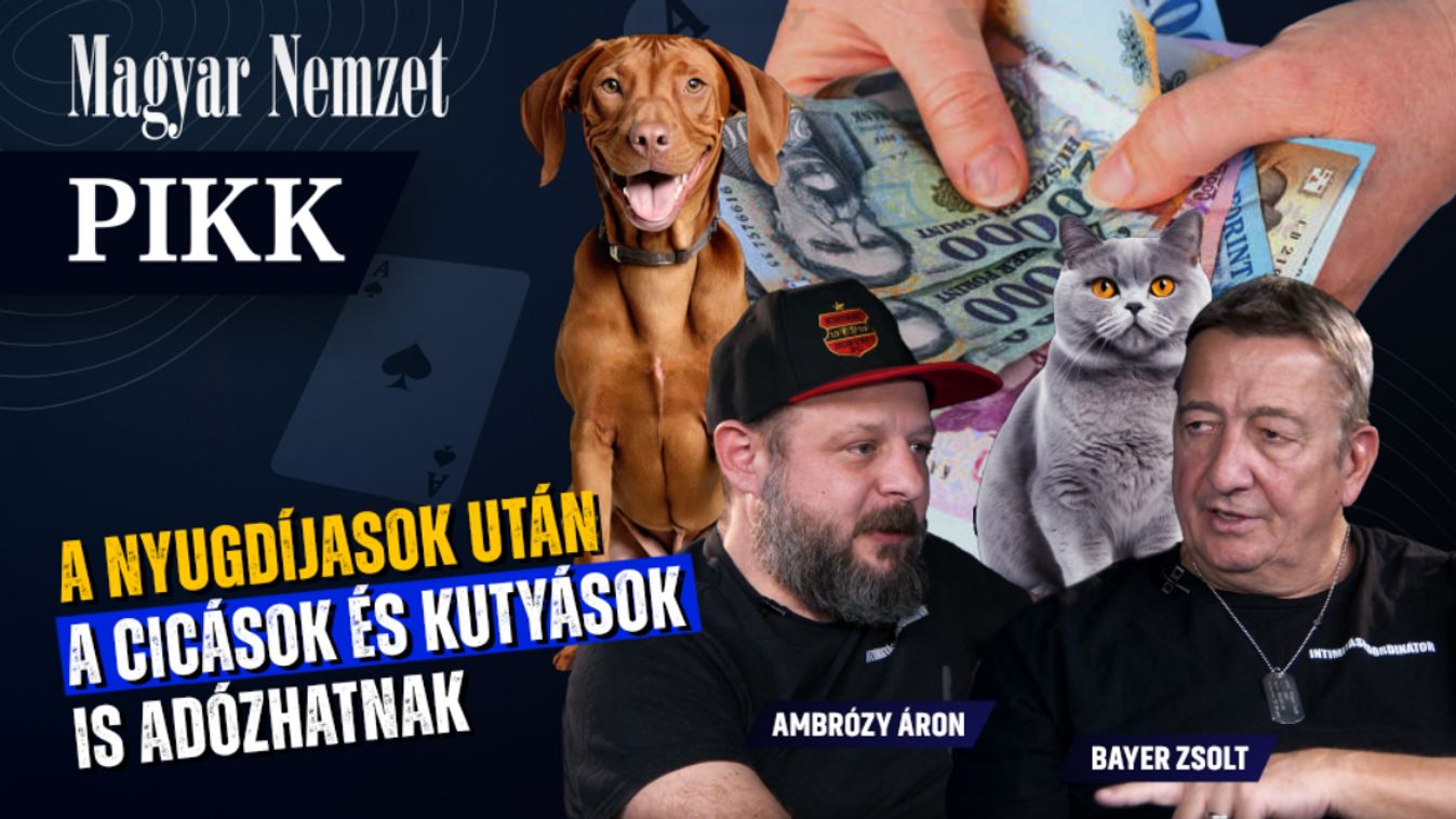 Pikk Bayerrel és Ambrózyval – A Tisza-adóval megszűnne a magyar gazdaság + videó