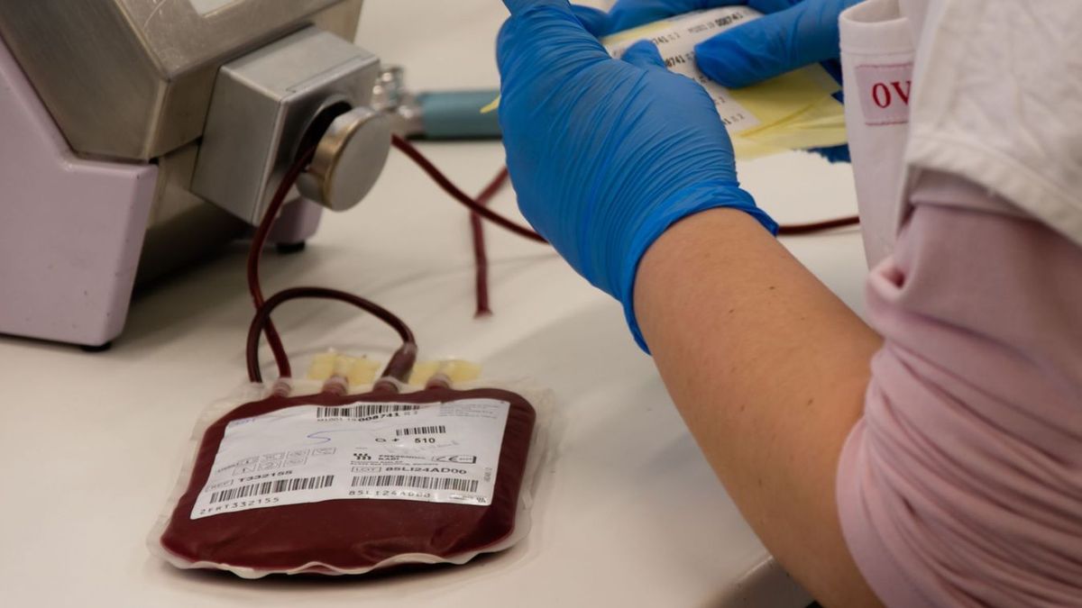 Vér és plazma: miért nem helyettesíti egymást a két adományozási forma?