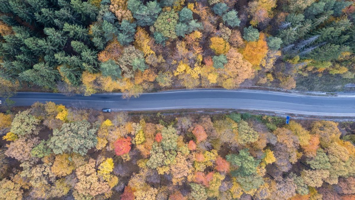 Kiderült, melyik szálláshelyek lettek az őszi szünet nyertesei