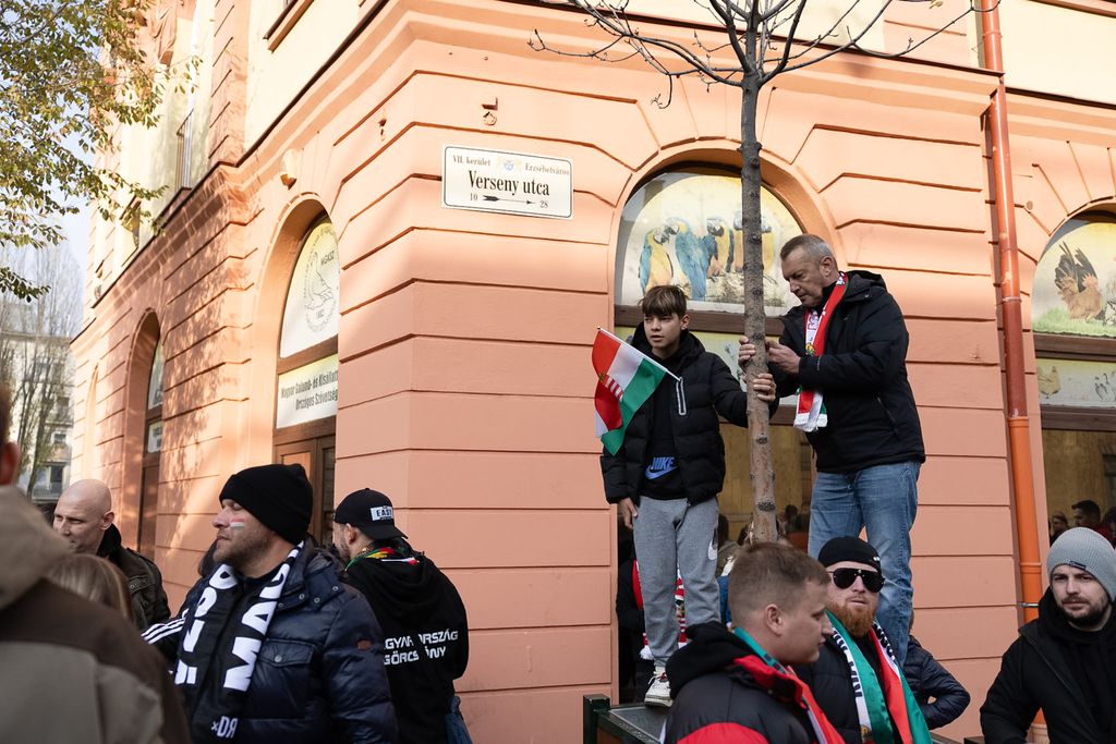 Magyarország - Írország 
magyar válogatott mérkőzés